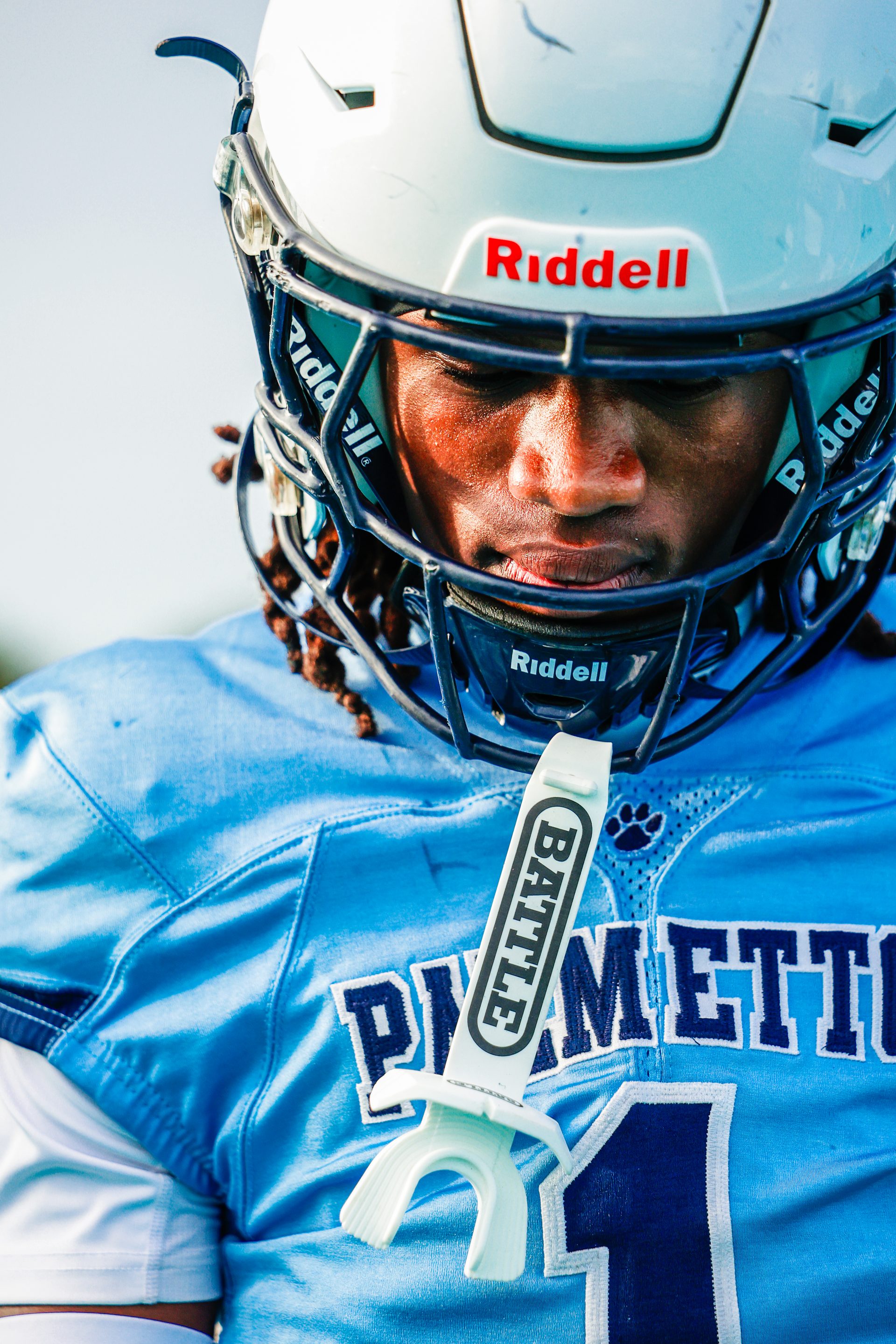 Palmetto helmet closeup