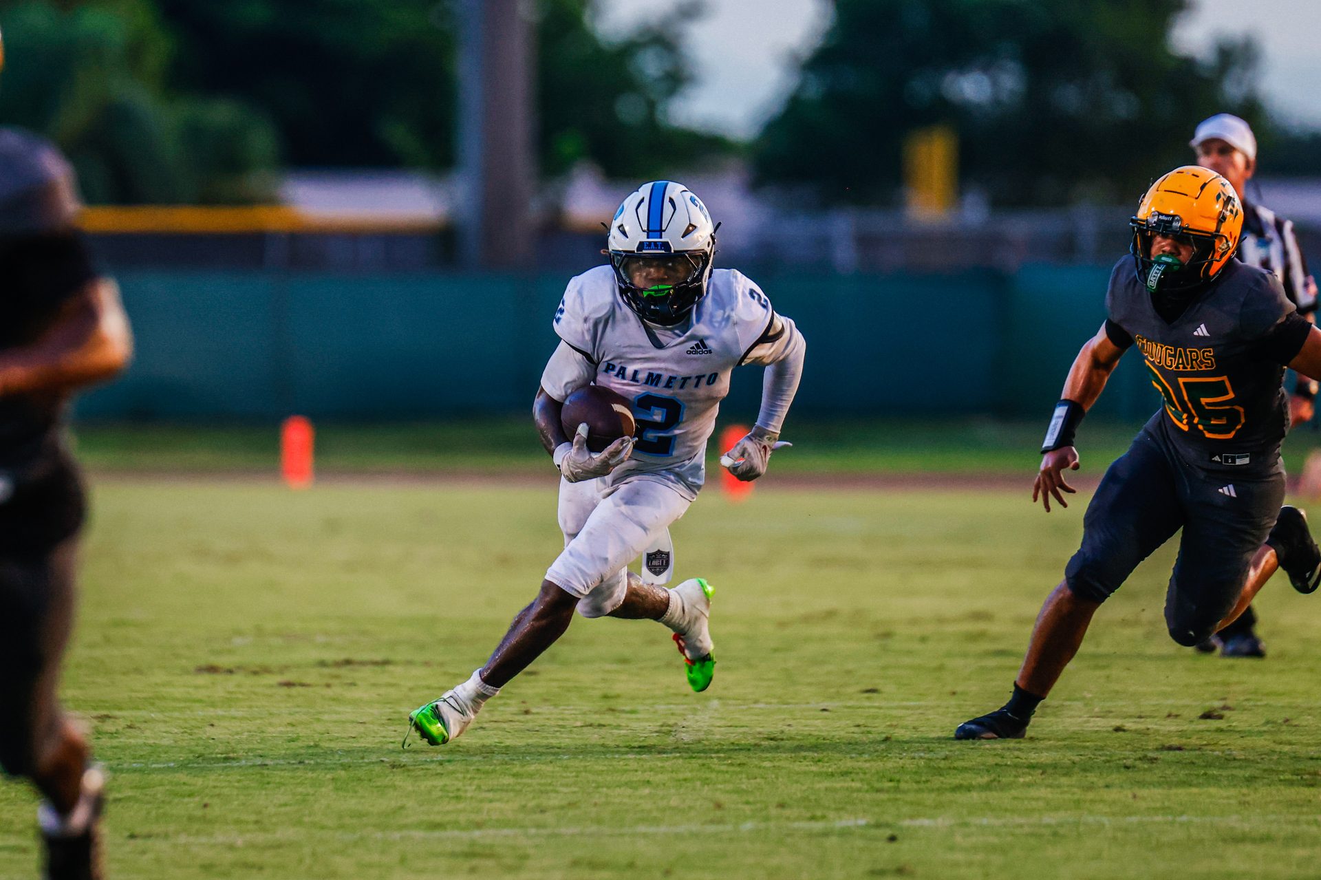 Palmetto running back